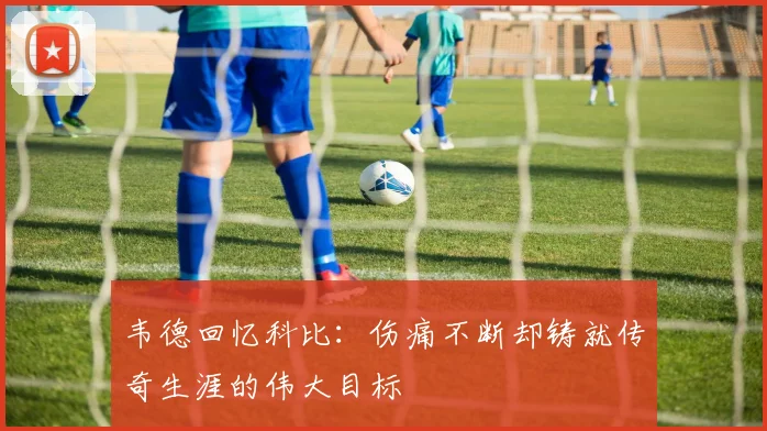 韦德回忆科比：伤痛不断却铸就传奇生涯的伟大目标