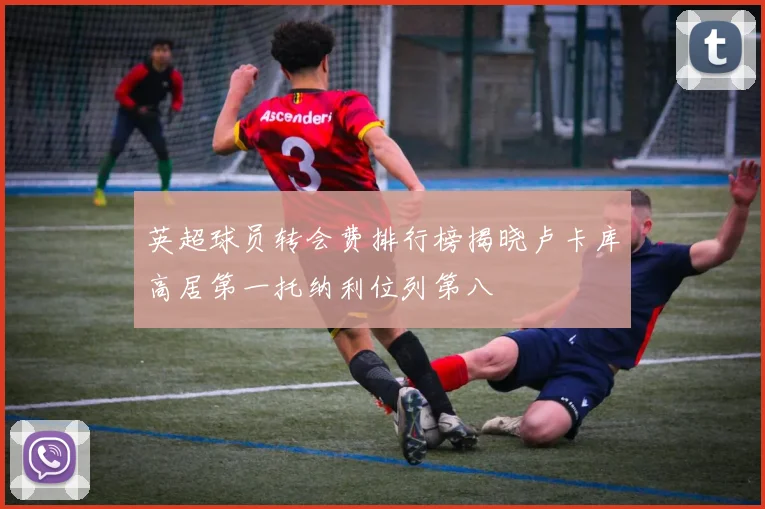 英超球员转会费排行榜揭晓卢卡库高居第一托纳利位列第八